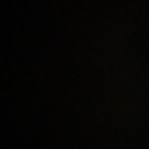 Meet your Posher, Daisy